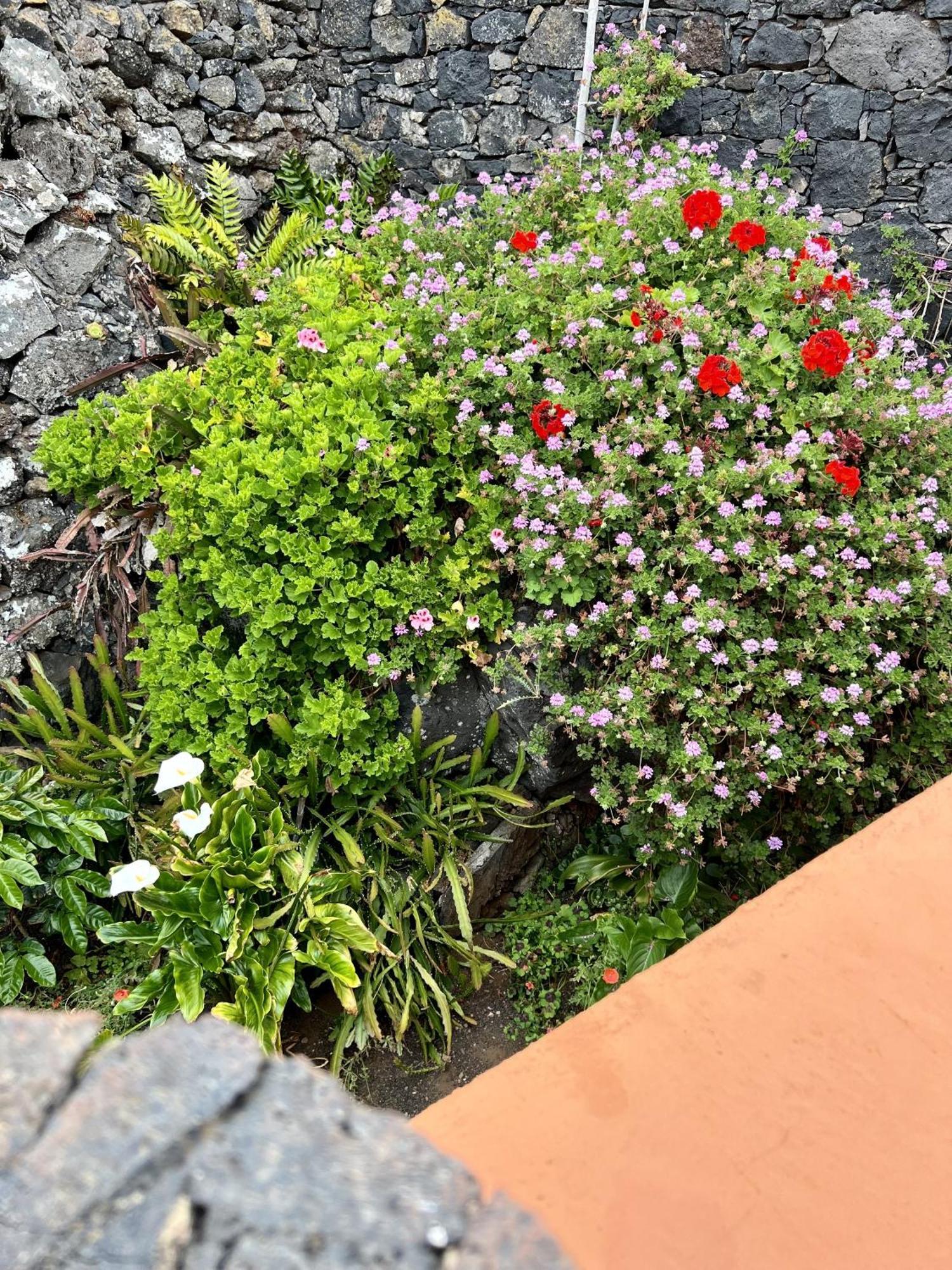 Cozy Rural House Las Guindas, El Hierro Erese Bagian luar foto
